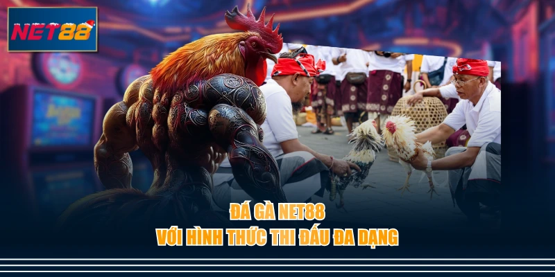 Đá gà NET88 với hình thức thi đấu đa dạng