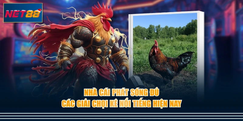 Nhà cái phát sóng đủ các giải chọi kê nổi tiếng hiện nay